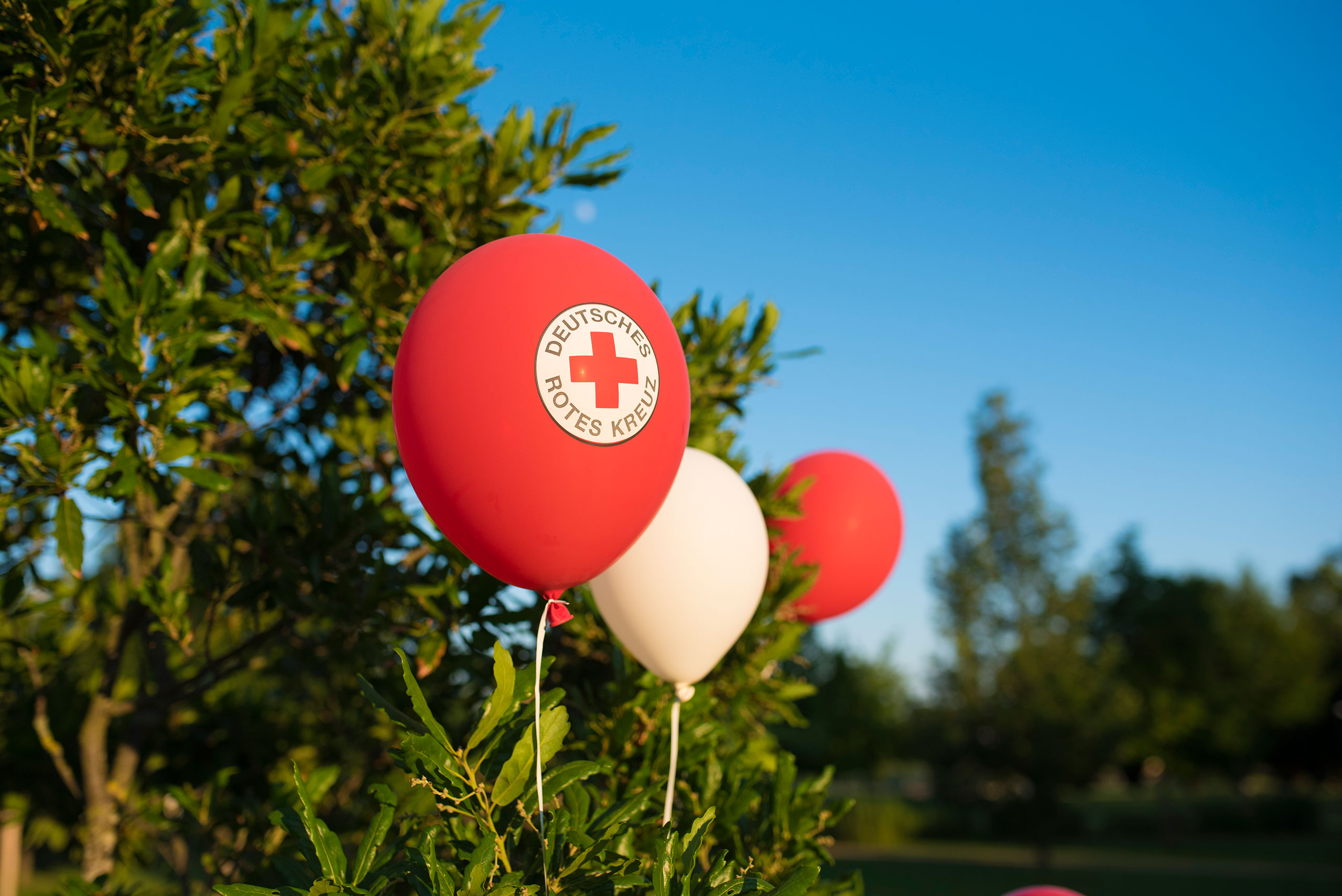 Deutsches Rotes Kreuz