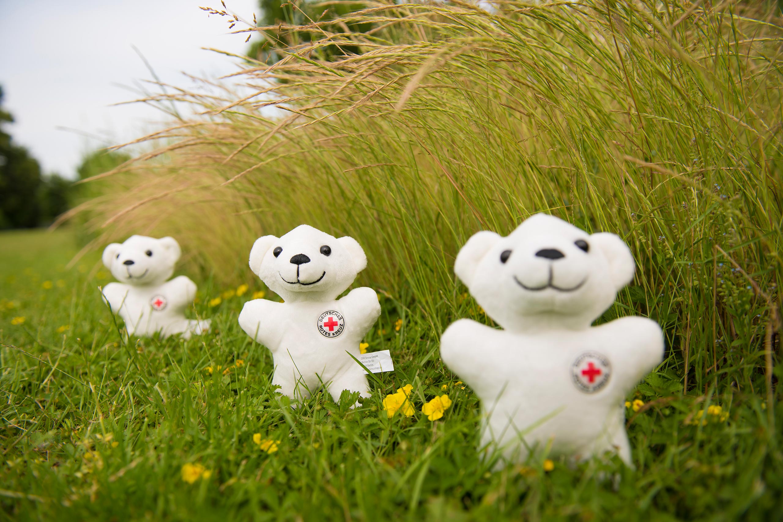 06 jeske20190614 014