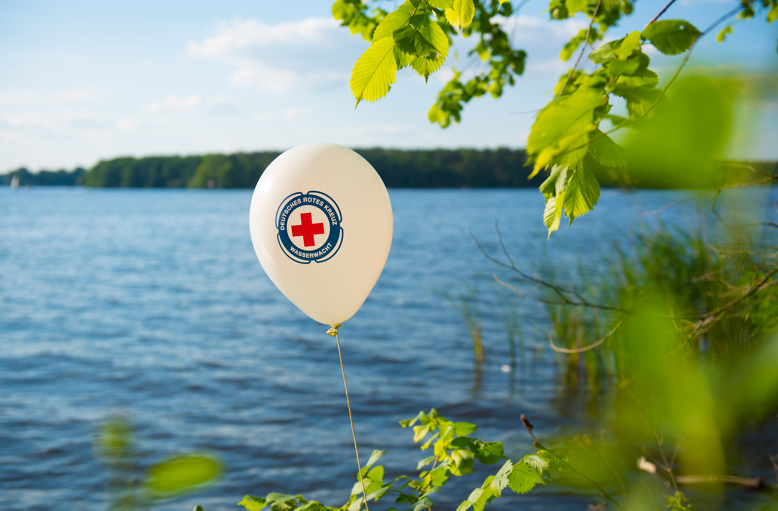 18 jeske20200614 007