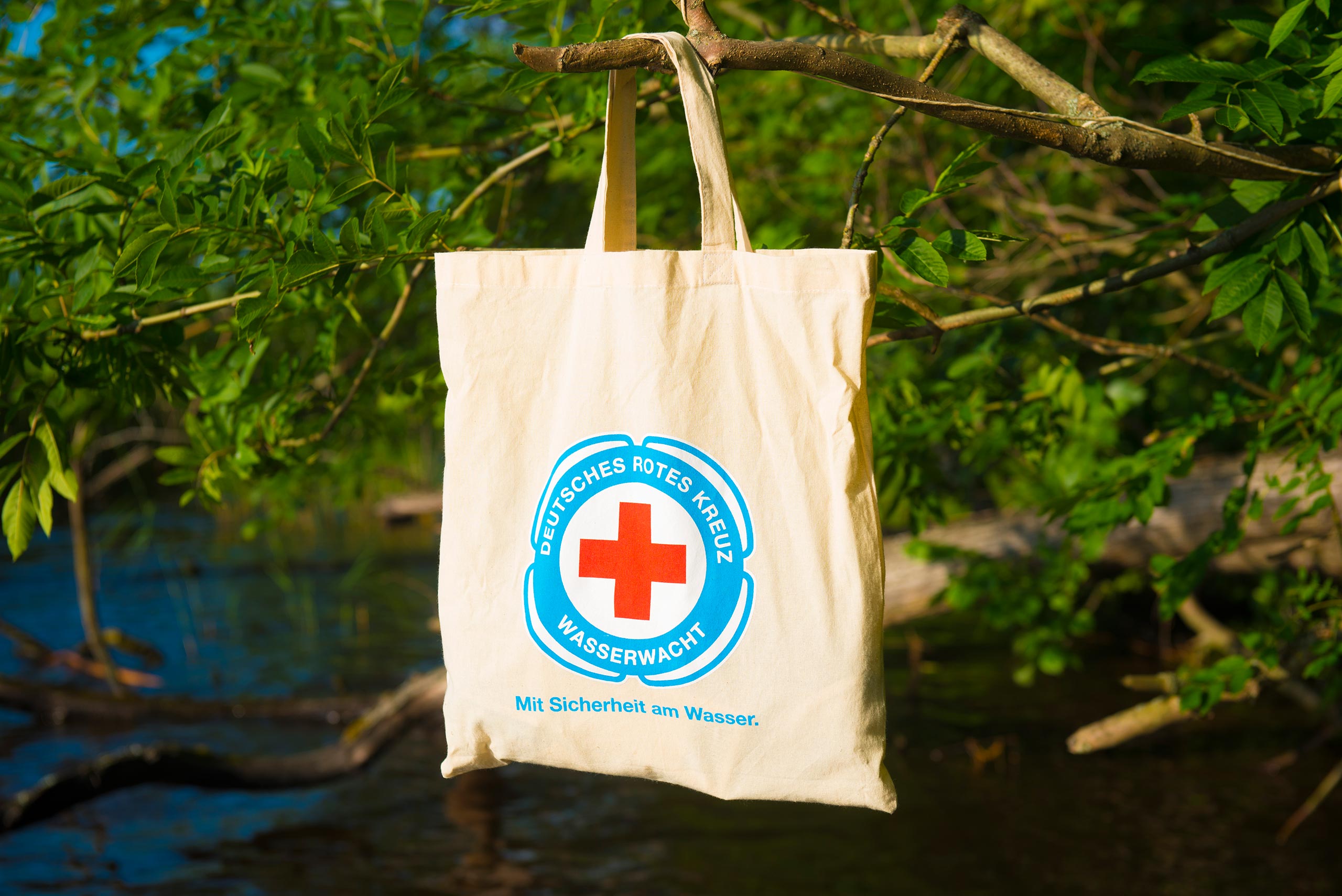 20 jeske20200614 015