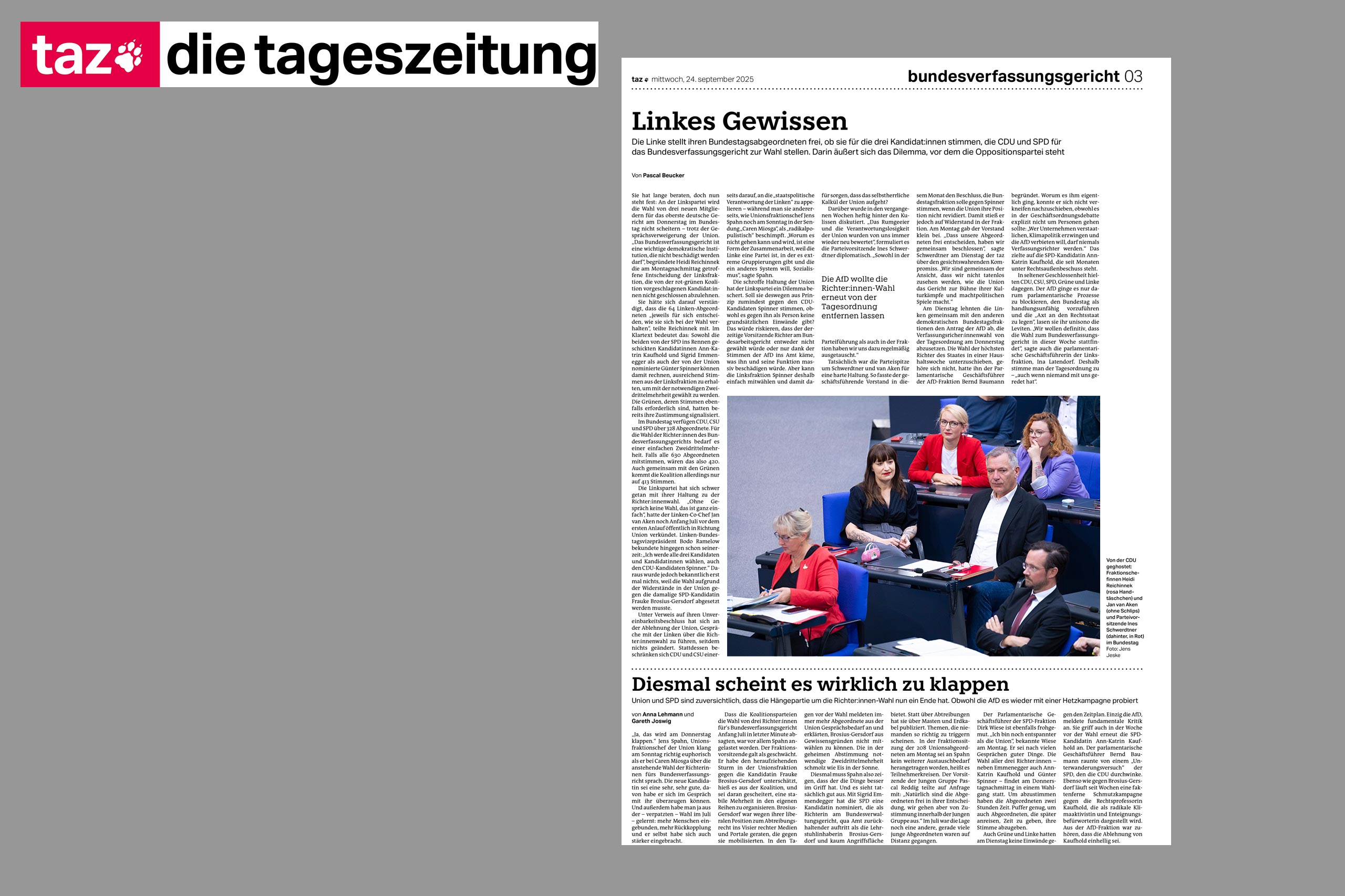 2025 taz linke